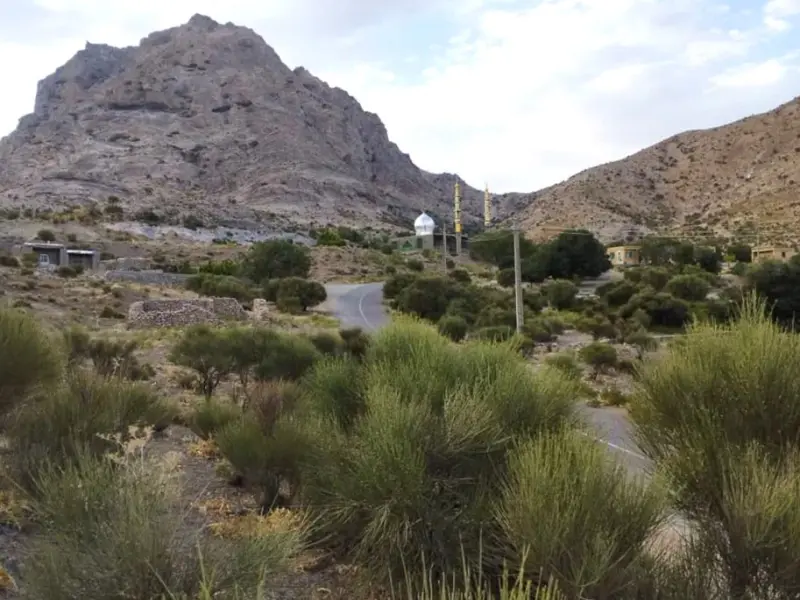 روستای ریسه - تصویر 1