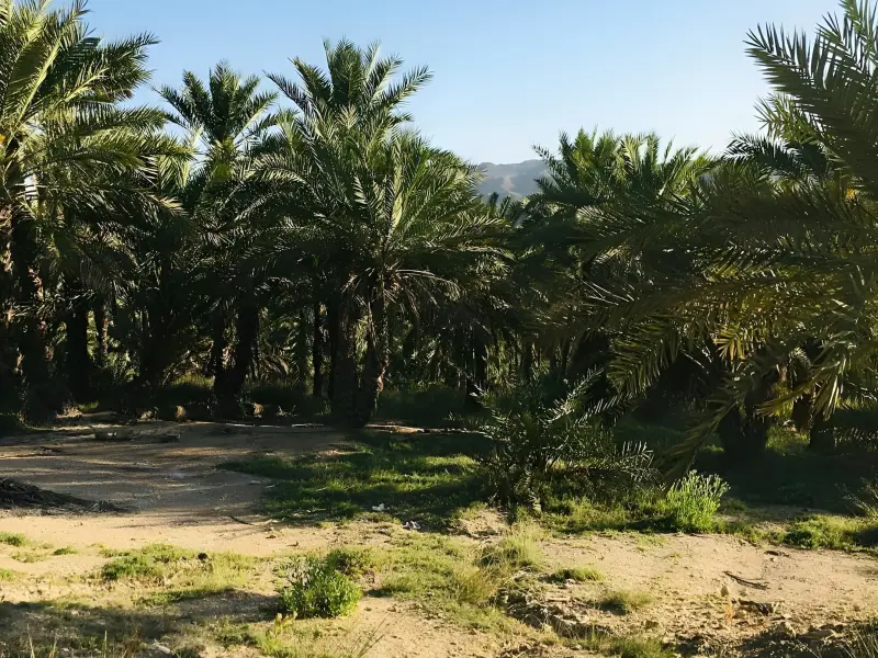 آبگرم سرخا - تصویر 2