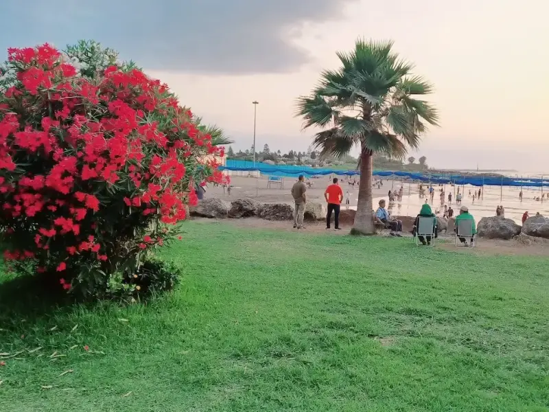 ساحل دریاکنار - تصویر 5
