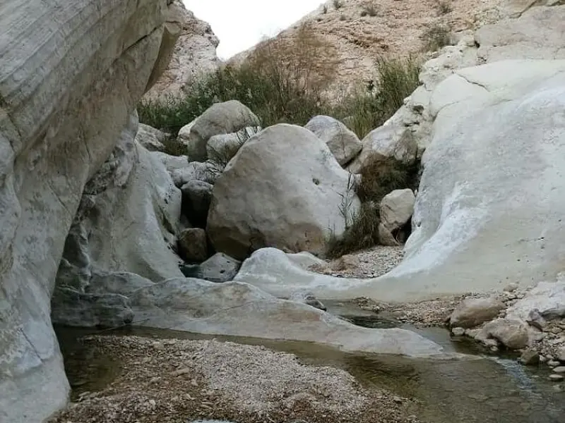 تنگ هیخ