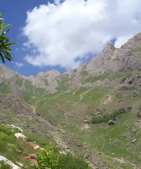 منطقه حفاظت‌شده کوسالان و شاهو، کردستان