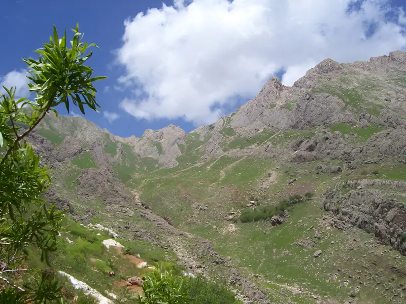 منطقه حفاظت‌شده کوسالان و شاهو