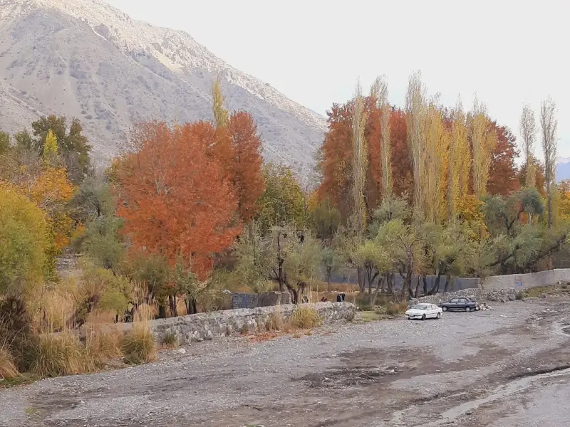 دهبکری - تصویر 2